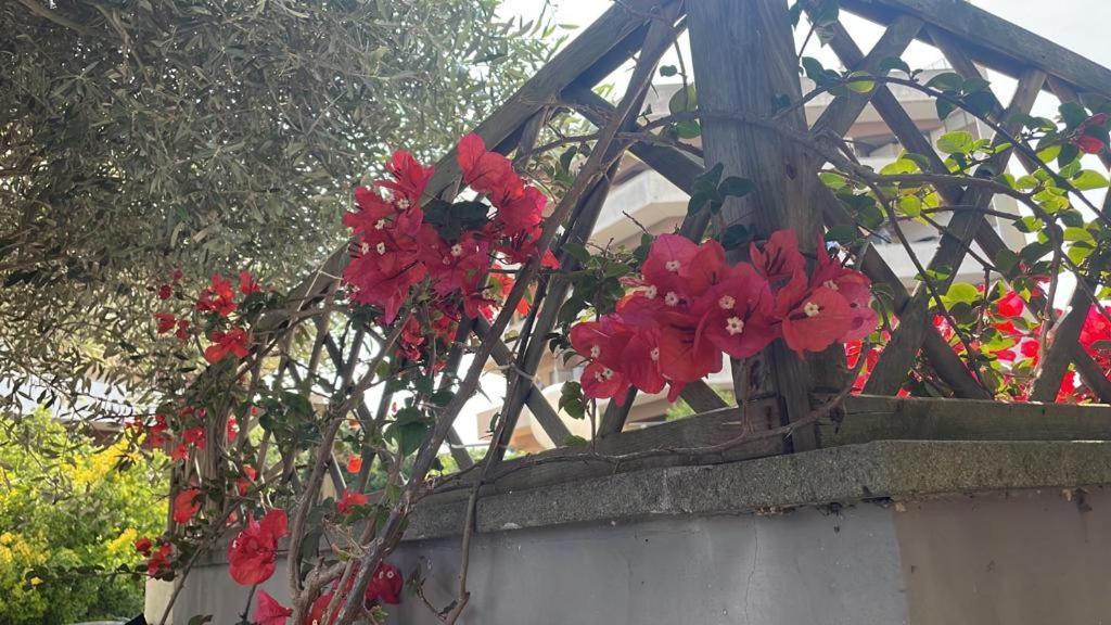 Casa Adele Daire Torvaianica Dış mekan fotoğraf